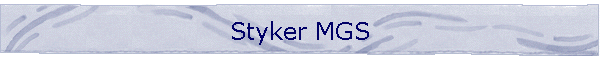 Styker MGS