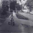 Dantrike.jpg (48552 bytes)